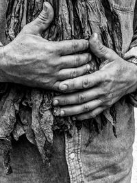 Midsection of person holding dry tobacco leaves