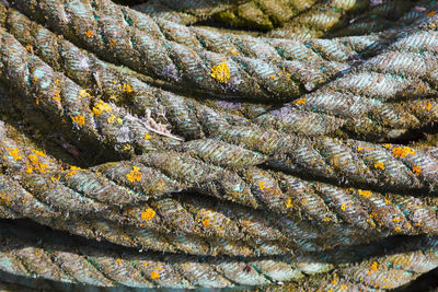 Full frame shot of fishing net