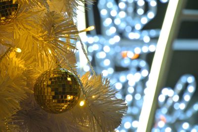 Low angle view of illuminated christmas tree at night