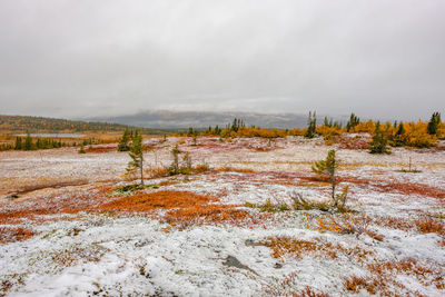 Scenic view of snow covered land against sky