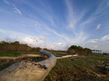Driftwood on field against sky