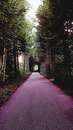 Road amidst trees in forest