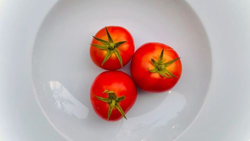 High angle view of tomatoes in plate