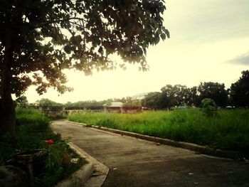 Road passing through field