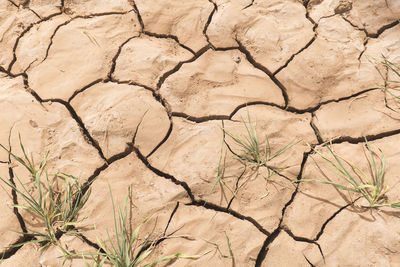 Textures in the arid soil of m'hamid el ghizlane or lamhamid ghozlane oasis  in morocco, africa.