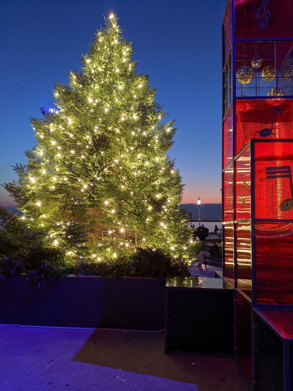 CHRISTMAS TREE BY BUILDING AGAINST SKY