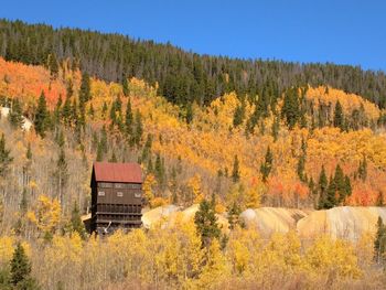 Scenic view of forest against sky during autumn
