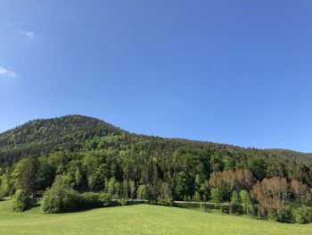 Scenic view of landscape against clear blue sky