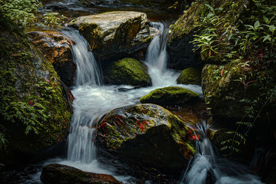 Scenic view of waterfall in forest