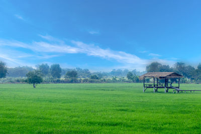 Scenic view of farm against sky