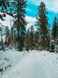 Winter 2021