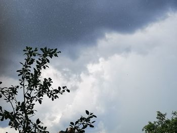 Low angle view of silhouette trees against sky