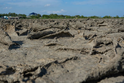 Surface level of barren land against sky