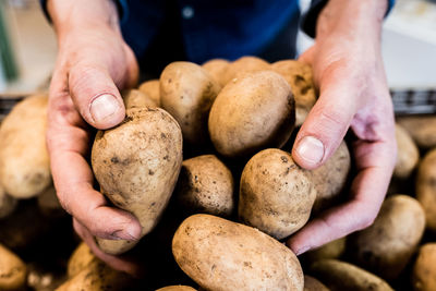 Cropped hand of person holding potatoes