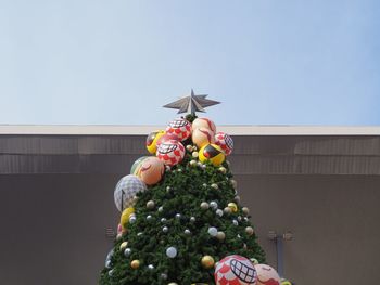 Person holding christmas tree against sky