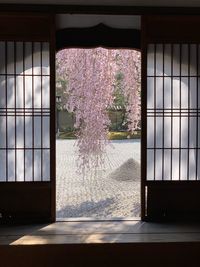 Flowering plants seen through glass window