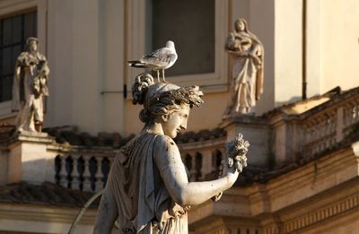 Statue of the goddess flora, piazza del popolo rome, sunset time.