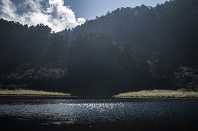 Scenic view of lake by trees against sky