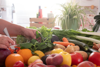 Hand holding fruits and vegetables