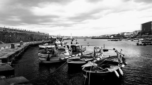 Sailboats moored in harbor