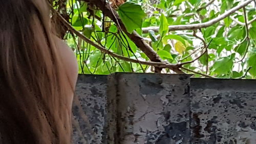 Woman hand on tree