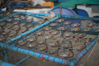 Close-up of rusty metal