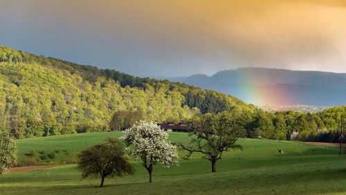 Scenic view of field against cloudy sky