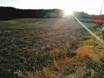 Scenic view of field against sky