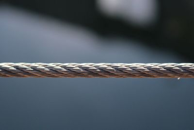 Close-up of rope