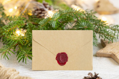 Close-up of christmas decoration on tree