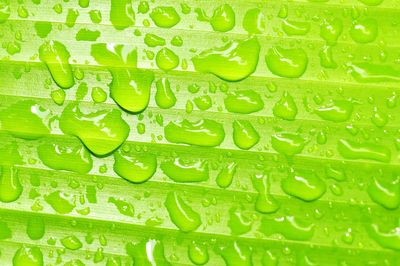 Close-up of water drops on fountain