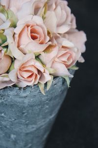 Close-up of pink flower