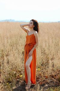 Summertime / orange colour / beautiful nature