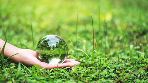 A hand holding crystal glass ball in the grass field for environment concept