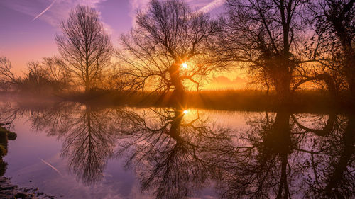 Silhouette bare trees by lake against sky during sunset