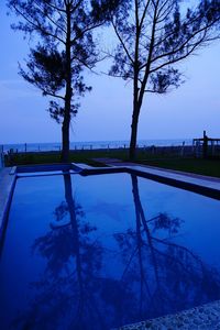 Reflection of trees on water