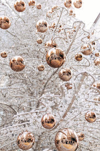 High angle view of christmas decorations on table