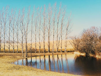 Scenic view of lake against clear sky