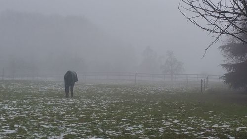 Rear view of man on field against sky during foggy weather