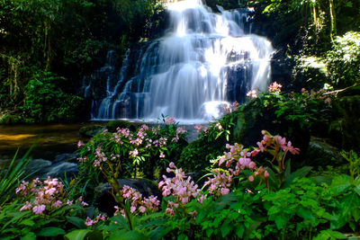 Scenic view of waterfall against trees