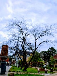 Bare tree in city against sky