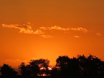 Low angle view of silhouette trees against orange sky