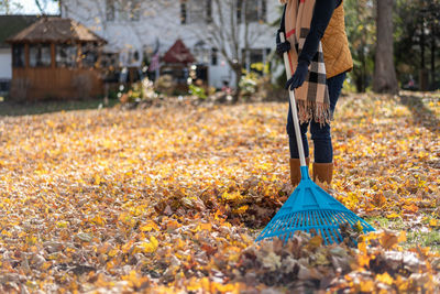 Low section of person standing on field during autumn