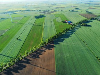 High angle view of agricultural field