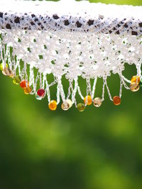 Close-up of water drops on white flowers