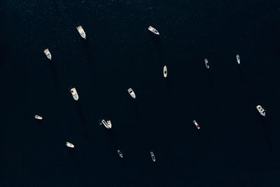 From above of various modern motor boats floating on calm surface of sea during sunny day