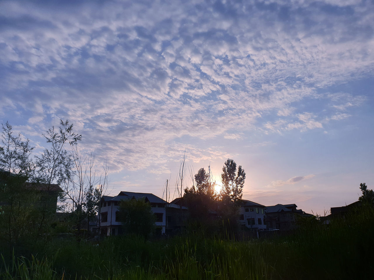 HOUSES AND TREES ON FIELD AGAINST SKY