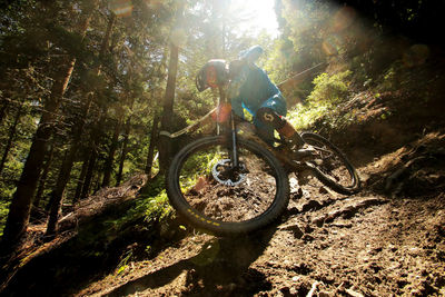 Man riding bicycle in forest