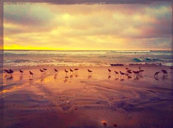 Scenic view of sea at sunset