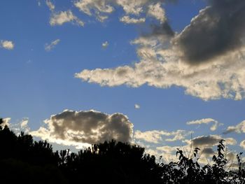 Low angle view of silhouette trees against sky